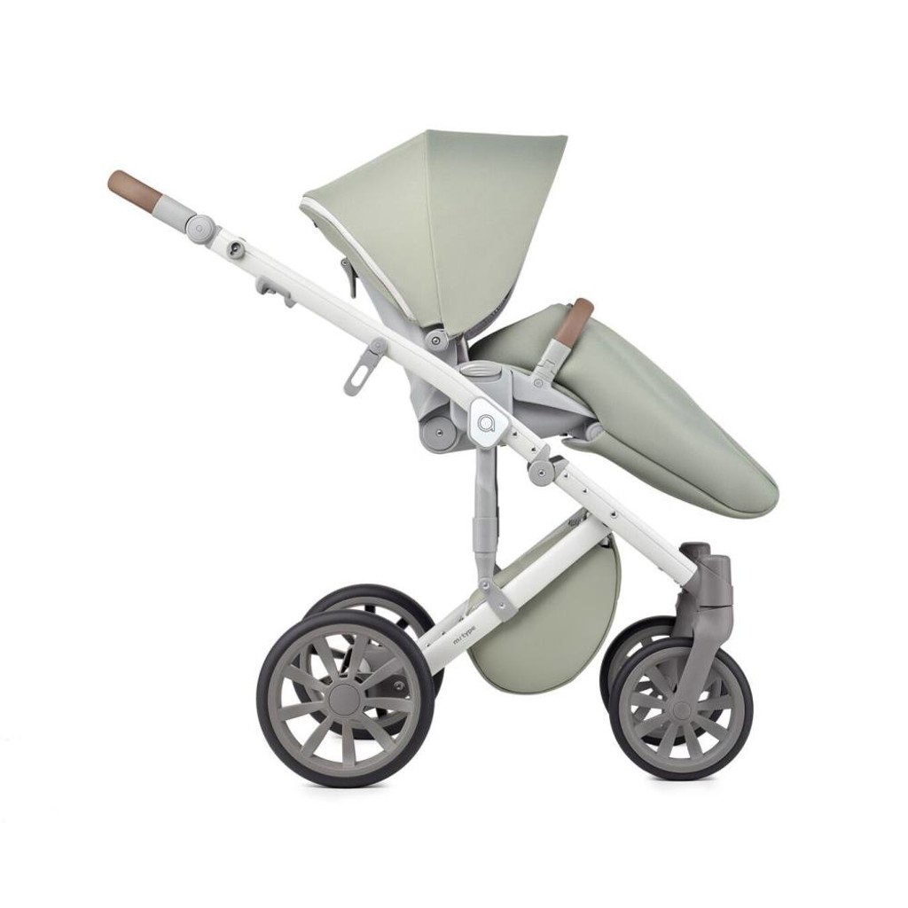 Anex M type olive