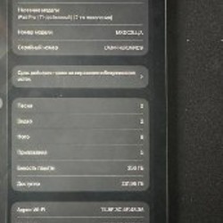IPad Pro 256GB - фото 2