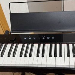 Casio PX-S1000 - фото 5