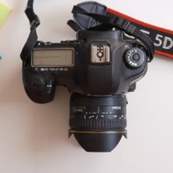 Canon EOS 5D Mark III + Sigma 15mm f/2.8 Fisheye - фото 2