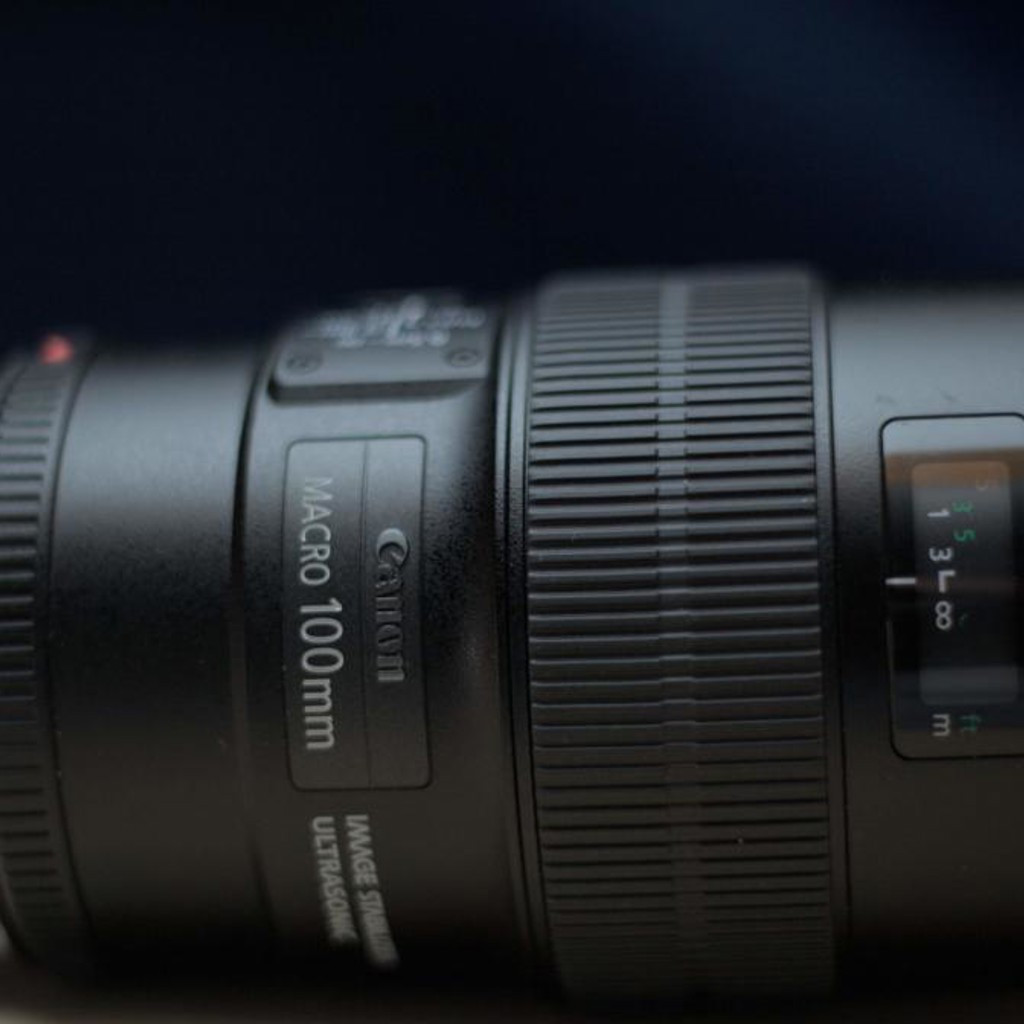 Объектив Canon EF 100mm f/2.8L Macro IS USM
