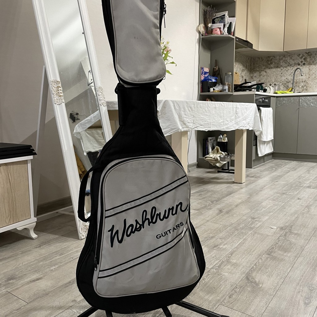 Электрогитара Washburn Pro X10