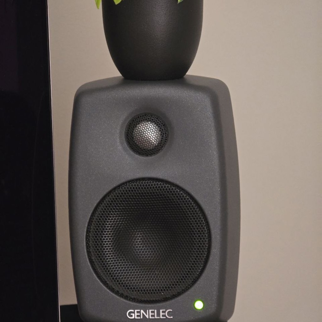 Мониторы Genelec 8010a