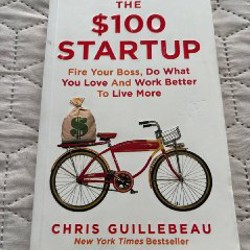 The $100 startup - фото 5