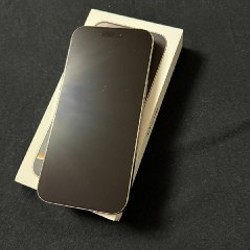 IPhone 16 Pro Max - фото 2