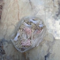 Пакет тычинок для изготовления цветов - фото 3