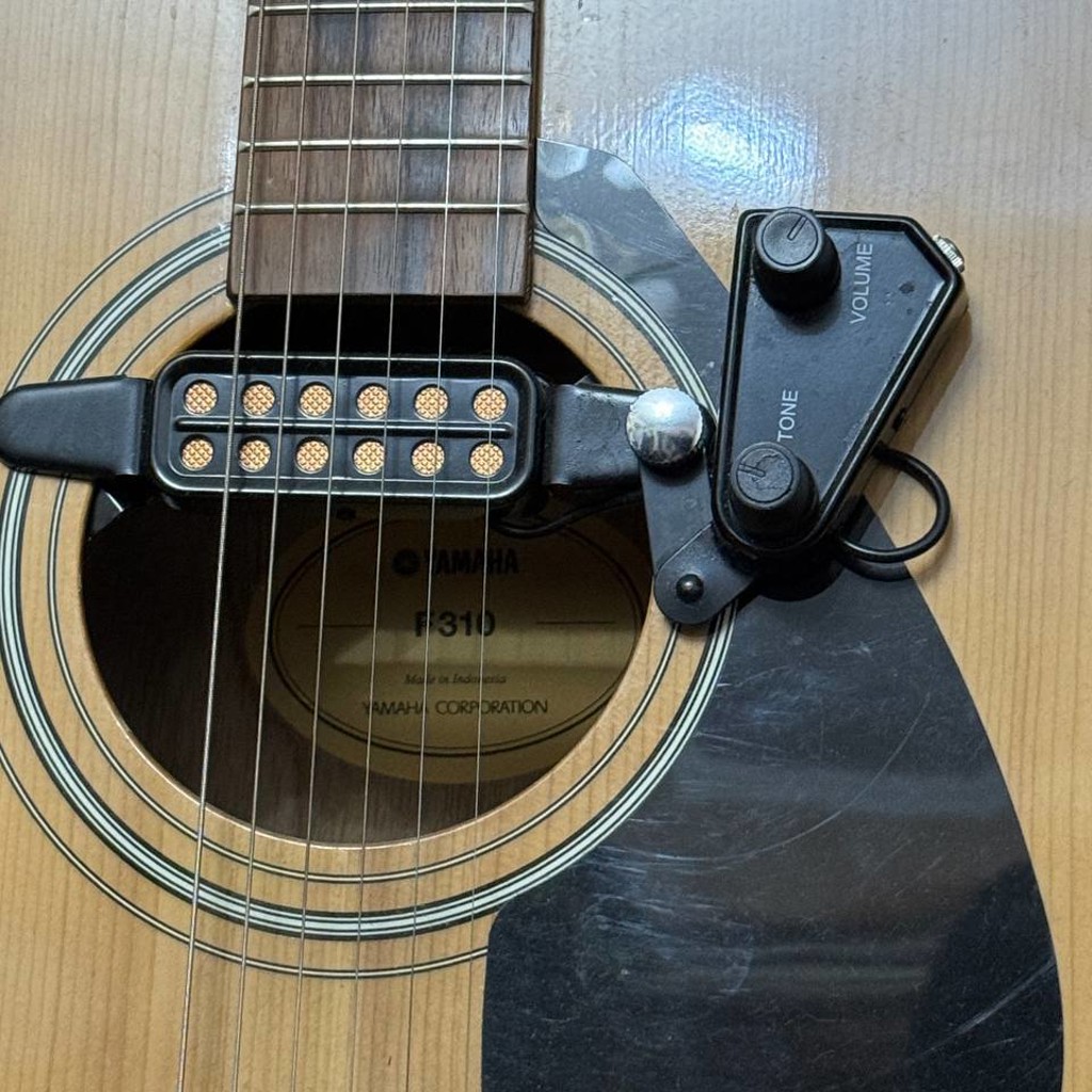 Yamaha F310
