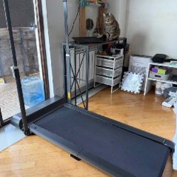 Беговая дорожка Xiaomi Kingsmith WalkingPad Treadmil - фото 1