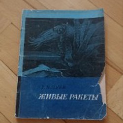 Пазл Брейгель Старший. Охотники на снегу - фото 6