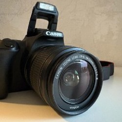 Canon EOS 250D - фото 4