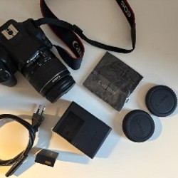 Canon EOS 250D - фото 5