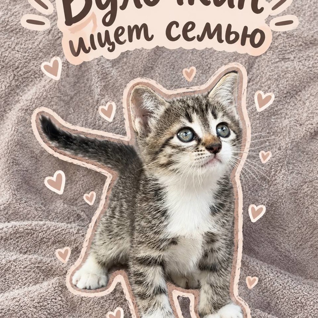 Котенок