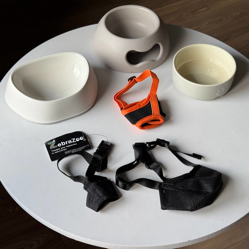 Керамическая миска Scruffs Icon Food