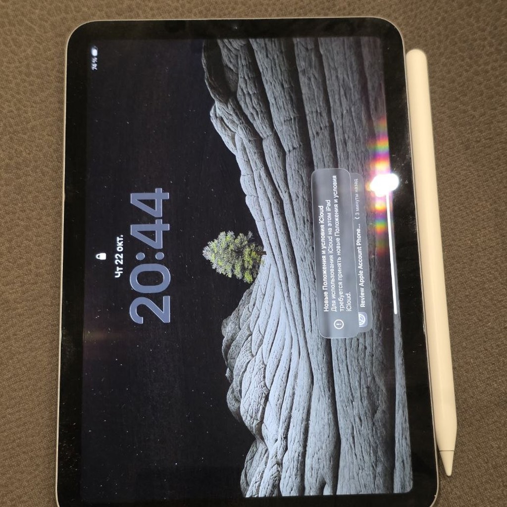 IPad mini 6