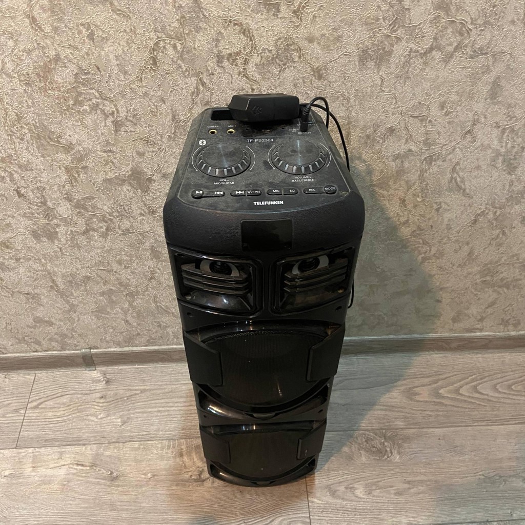 Портативная колонка Telefunken TF-PS2304