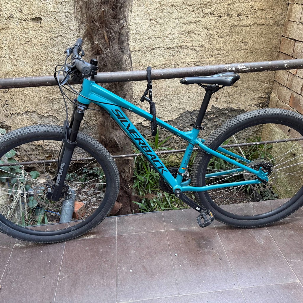 Silverback Stride HD 29