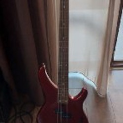 Бас гитара Yamaha TRBX174 - фото 2