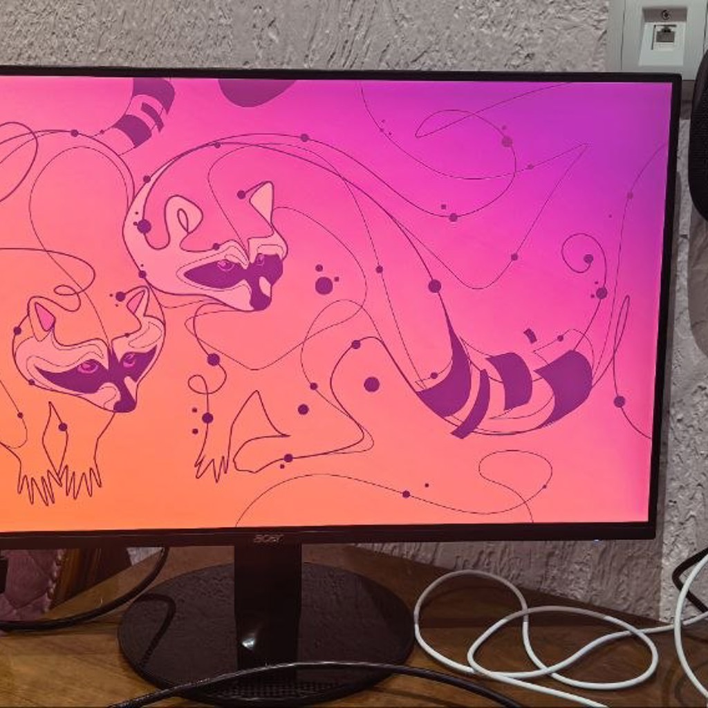 Acer SB241Y bi