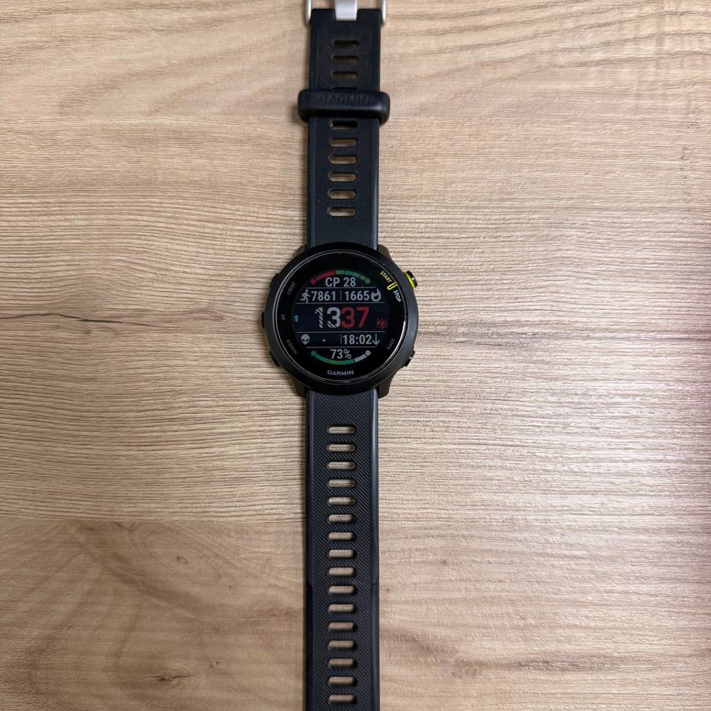 Garmin Forerunner 255