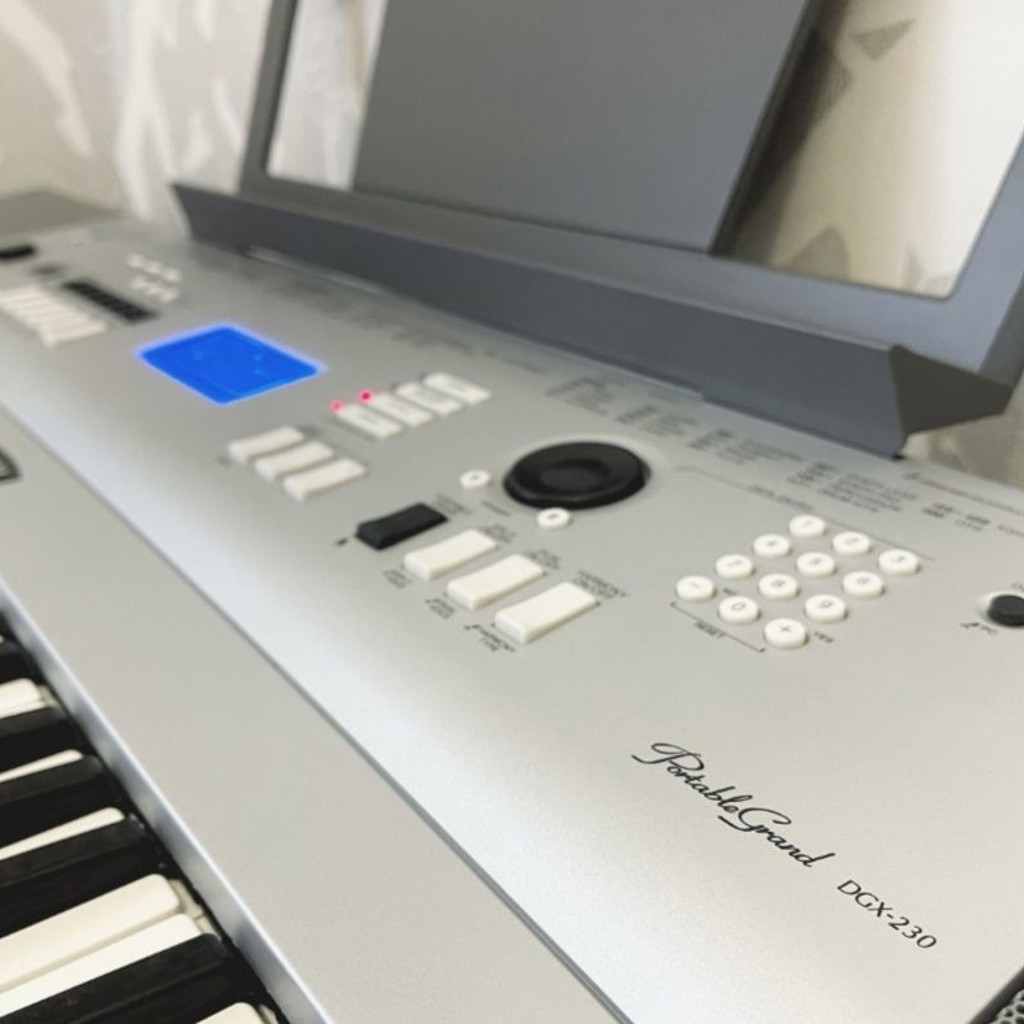 Электронное пианино Yamaha Portatone DGX-230
