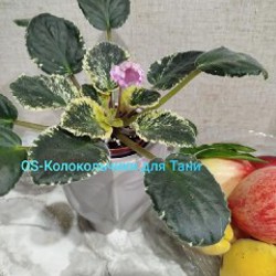 Image 3