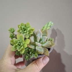 Image 9