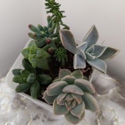 Image 9