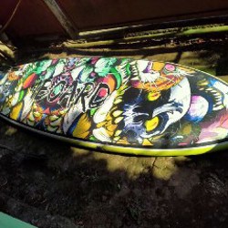 Image 6