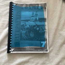 Image 7