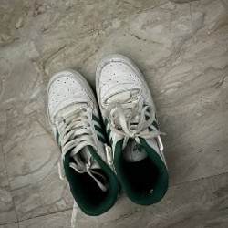 Image 7