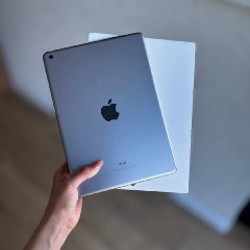 Image 5
