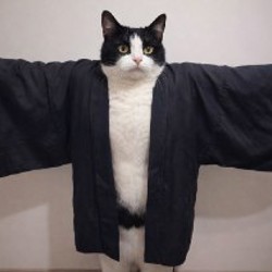 Винтажное хаори (мужское) - фото 2