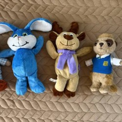 Комнатные растения - фото 5