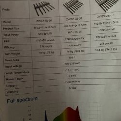 Квантум Борд - фото 1