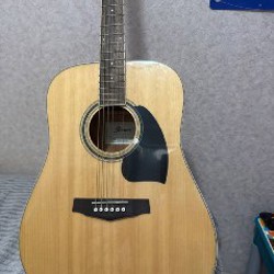 Гитара Ibanez PF15 - фото 2