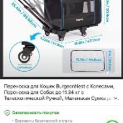 Пароочиститель - фото 1