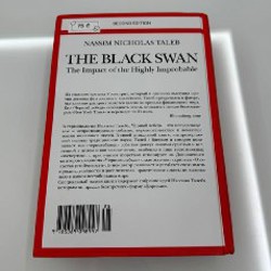 Черный лебедь. Под знаком непредсказуемости - фото 2