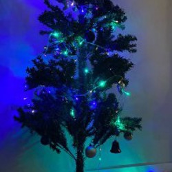 Бенгальские огни - фото 2