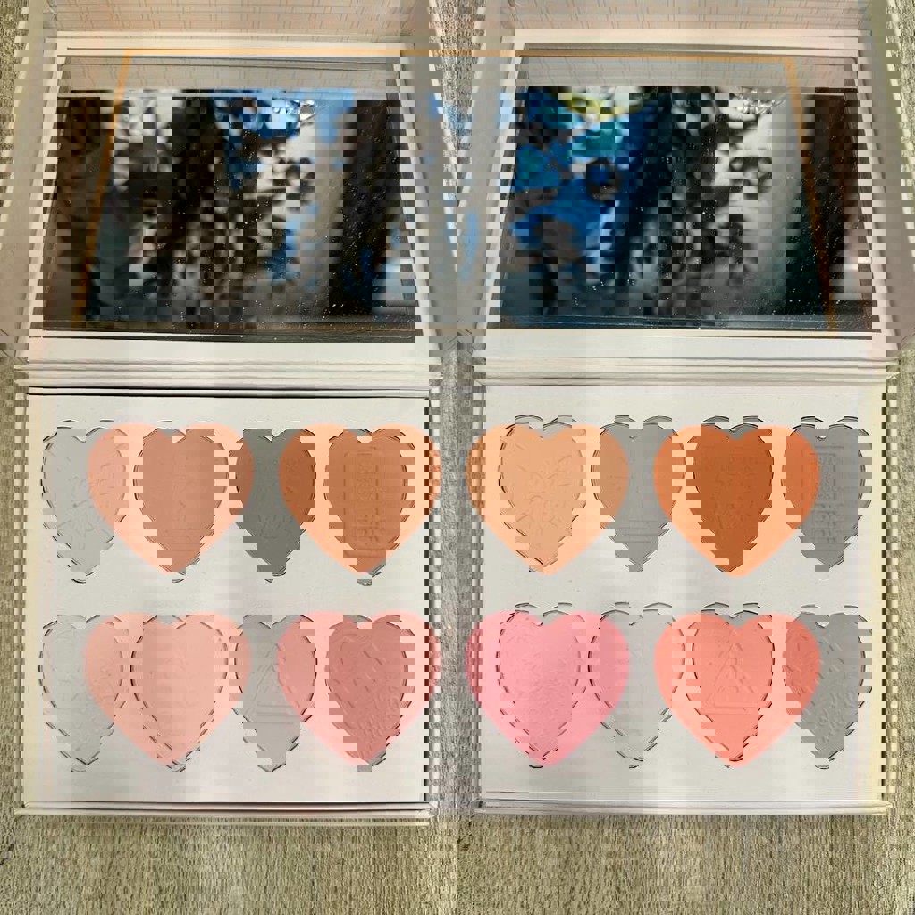 Вирусная палетка румян P. Louise