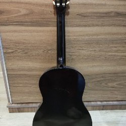 Акустическая классическая гитара Sanchez - фото 2