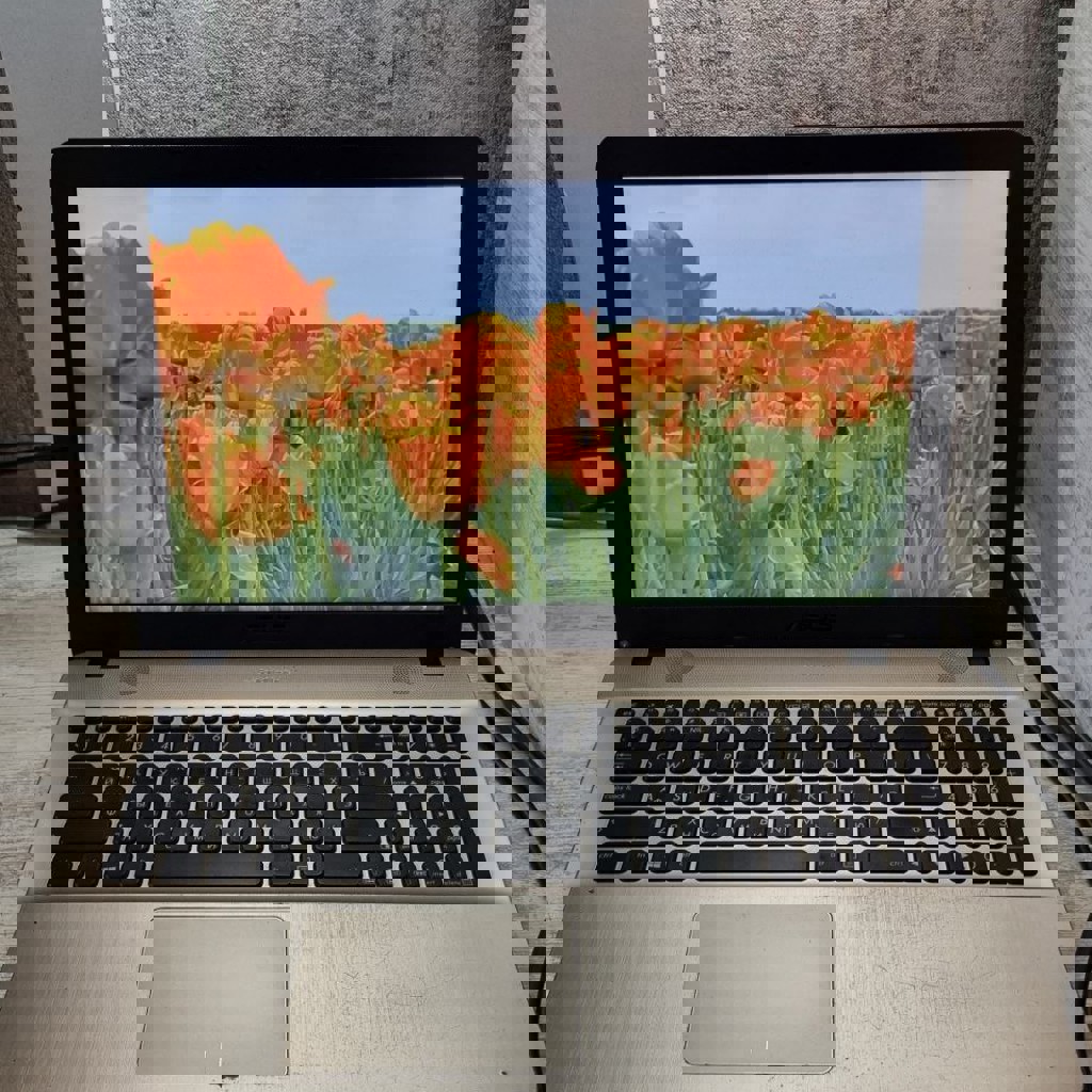 Ноутбук Asus x541