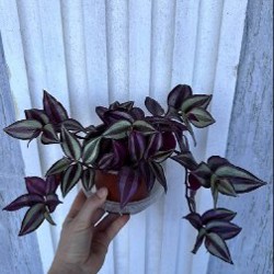 Крем для депиляции - фото 7