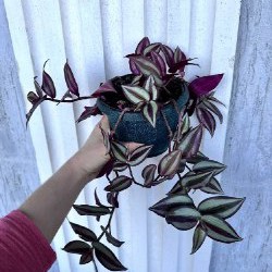 Крем для депиляции - фото 8