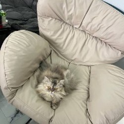 Кресло - фото 2