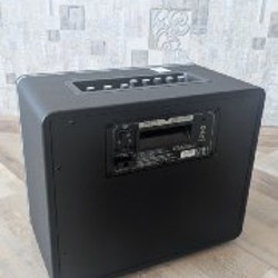 Усилитель Mooer Hornet 30 Black - фото 3