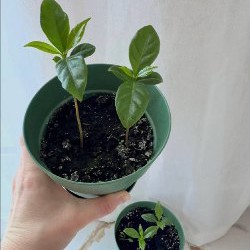 Мягкая игрушка - фото 7