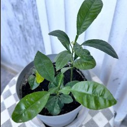 Мягкая игрушка - фото 9