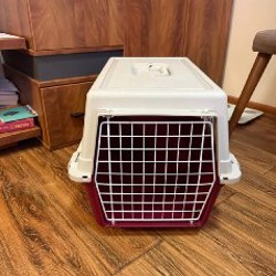 Переноска для собаки - фото 2