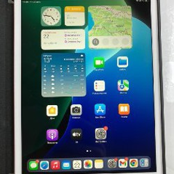 Apple Ipad mini 5 - фото 5