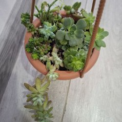 Строманта - фото 8